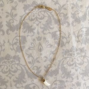 Express Faux Gold Horn Necklace